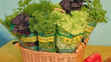 Заготавливаем зелень 11 Заготавливаем зелень