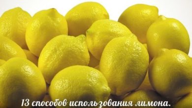 13 способов использования лимона 20 13 способов использования лимона