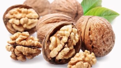 Грецкий орех - пища для ума 9 Грецкий орех — пища для ума