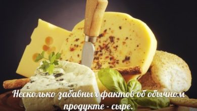Забавные факты об обычном продукте