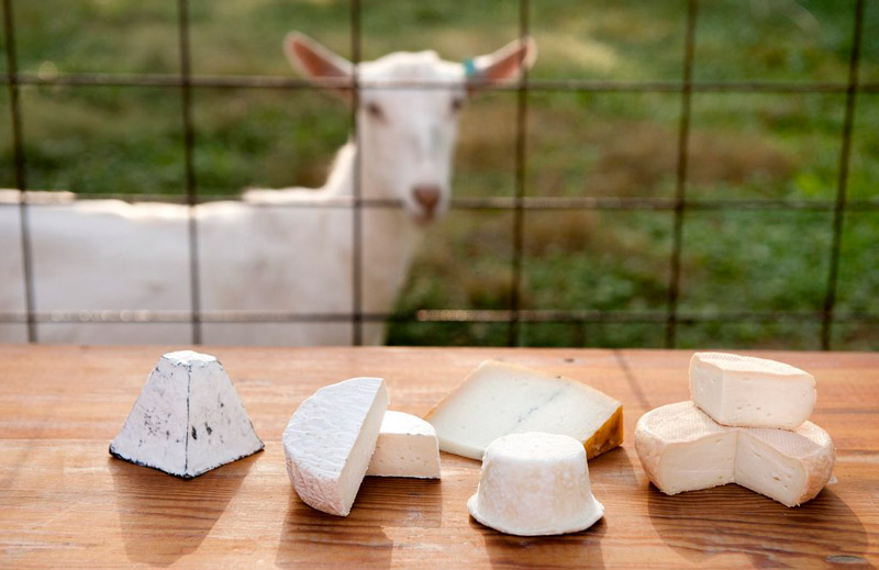 Козий сыр - хорош для аллергиков, отлично подходит для романтического ужина!