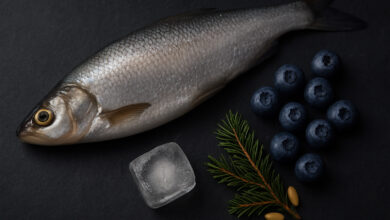 Чем уникальна рыба холодных морей? Гид по сибирской рыбе 16 Чем уникальна рыба холодных морей? Гид по сибирской рыбе 1